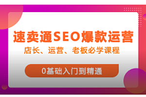 红鱼速卖通SEO爆款运营课程300小节课程