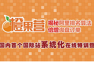 橙果营:国际站在线特训营价值4980元