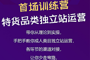 打通敏感类目推广销售阻碍!成人用品类目独立站运营从建站到推广到起飞!价值3999元