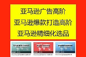 moonsees亚马逊广告高阶爆款打造精细化选品课程(3部合集)价值10000元