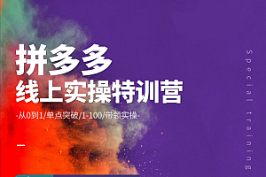青云:拼多多运营-线上实操特训营价值2980元