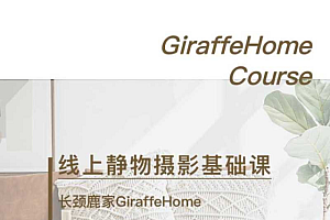 长颈鹿家静物摄影线上基础课价值2380元