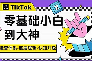 TikTok底层逻辑及短视频运营方法系列课,运营体系,底层逻辑,认知升级