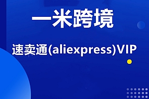 2022一米跨境:速卖通（aliexpress）VIP课程价值2999元