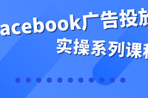 Facebook全系列投放实操详解价值599元