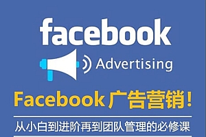 Facebook广告营销体系化教程（2022）价值1999元