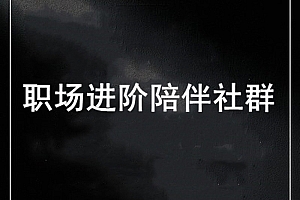 生涯力职场进阶陪伴社群价值699元