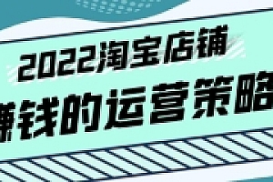 震宇老师·2022年淘宝店铺赚钱的运营策略,一套能够盈利的赚钱打法