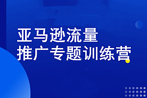 老陈·亚马逊流量推广专题训练营,价值2999元
