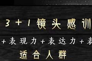 素子表现力训练营,提高自信力+表现力+表达力+表演人设,打造个人魅力ip