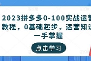 2023拼多多0-100实战运营教程,0基础起步,运营知识一手掌握