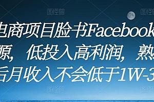 跨境电商项目脸书Facebook商城无货源，低投入高利润