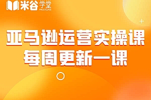 米谷学堂-亚马逊运营实操课-跨境电商培训每周更新2023