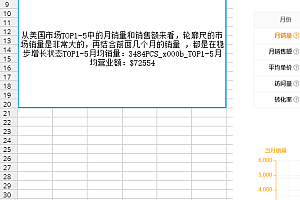 亚马逊数据调研模板