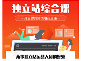Daniel老师·独立站综合课,快速开启你的跨境电商道路-价值2599元