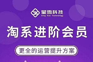 星雪·淘系进阶课程,快速提升突破技能流量瓶颈必备(更新2023年5月)