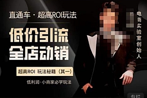 电商冰可乐·直通车·《低价引流·全店动销》,直通车·超高ROI玩法(其一)全店动销必学玩法