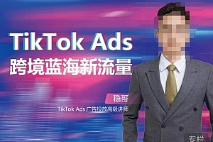 稳哥·如何投出高ROI的TikTok广告,开拓独立站卖家流量新蓝海