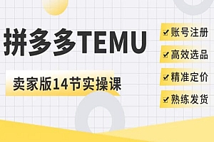 空心-TEMU平台卖家实操课