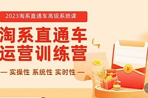 冠东·2023淘系直通车高级系统课,实操性,系统性,实时性,直通车完整体系教学