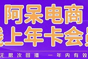 阿呆电商线上年会员,阿呆电商干货分享(更新中)