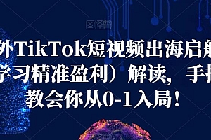 海外TikTok短视频出海启航营(学习精准盈利)解读,手把手教会你从0-1入局!