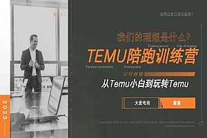 大麦电商-拼多多跨境(temu)课程