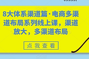 8大体系渠道篇·电商多渠道布局系列线上课,渠道放大,多渠道布局