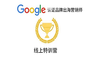 领聚出海-线上Google认证品牌出海营销师特训营课程