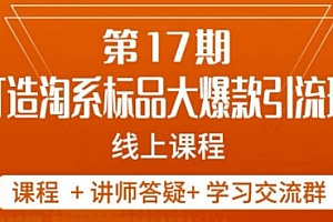 南掌柜-第17期打造淘系标品大爆款,5天线上课