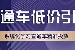 直通车低价引流课,系统化学习直通车精准投放