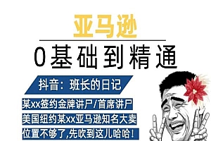 亚马逊0基础到精通全集合-班长的日记跨境电商