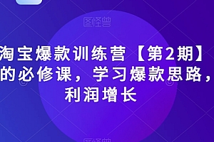 2023淘宝爆款训练营【第2期】,电商运营的必修课,学习爆款思路,实现利润增长