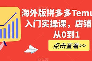 海外版拼多多Temu快速入门实操课,店铺实战从0到1