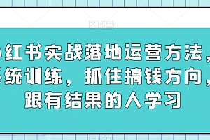 小红书实战落地运营方法,系统训练,抓住搞钱方向,跟有结果的人学习