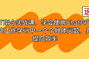 GPT指令实战课,学会使用ChatGPT,解决工作学习中一个个具体问题,真正提高效率