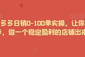 2024拼多多日销0-100单实操,让你迅速起步,做一个稳定盈利的店铺出来