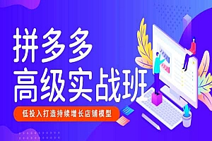 美迪电商拼多多高级实战班-24年01月11日(双师)