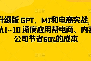 升级版 GPT、MJ和电商实战,从1~10 深度应用帮电商、内容公司节省60%的成本