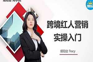 耀阳会跨境红人营销系列课程 第二章 跨境红人营销实操入门