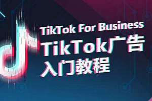跨境电商2024TikTok广告入门教程,从0到1掌握TikTok投放的全流程