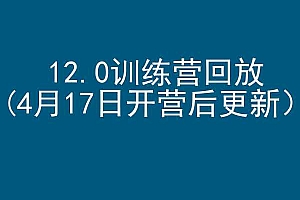 大卫外贸跨境电商-12.0训练营回放(4月17日开营后更新2024