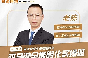 2024老陈聊跨境易逊跨境-亚马逊全能班线上孵化训练营第四期