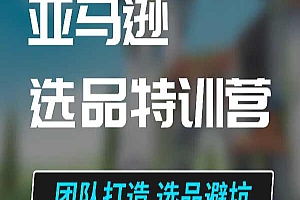 迷之一 -亚马逊选品特训营 -跨境电商打包下载2024