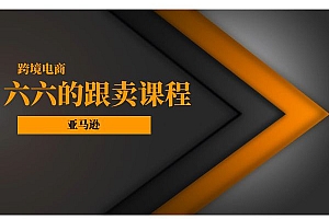 2024跨境电商-亚马逊-六六的跟卖课程