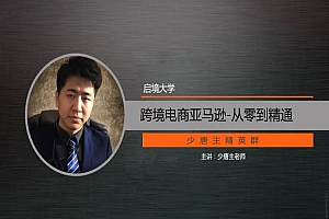 唐主跨境电商实操课程-从零到精通