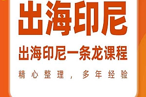 何老师-印尼出海经商课