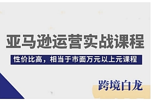 亚马逊运营实战课程,亚马逊从入门到精通——跨境白龙,性价比高,相当于市面万元以上元课程